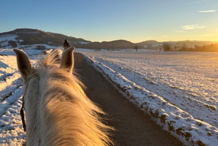 Reitgebiet und Weiden beim Stall Eichhof - Eindrücke 11