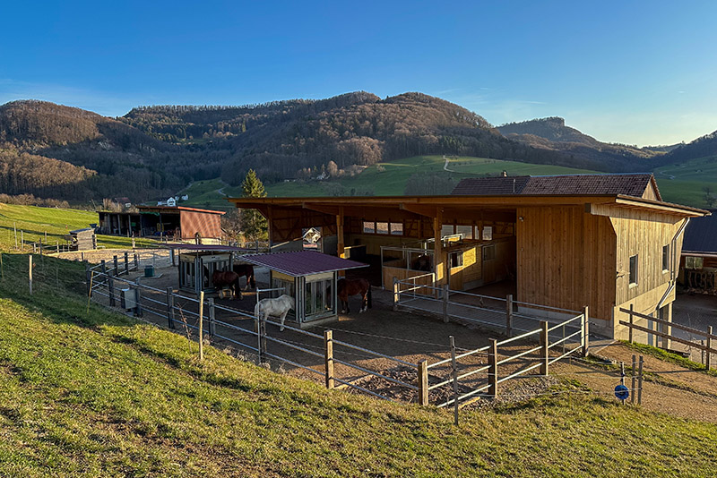 Hof und Pferdepension Stall Eichhof in Zeglingen - Familienbetrieb mit Pferden und Ponys