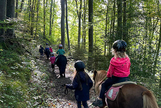 Reitgebiet und Weiden beim Stall Eichhof - Eindrücke 25