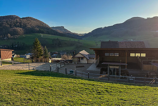 Reitgebiet und Weiden beim Stall Eichhof - Eindrücke 27