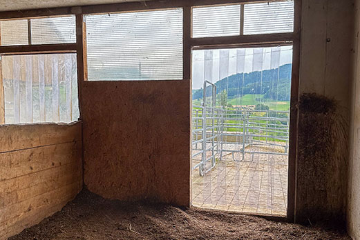 Reitgebiet und Weiden beim Stall Eichhof - Eindrücke 29