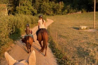 Reitgebiet und Weiden beim Stall Eichhof - Eindrücke 3