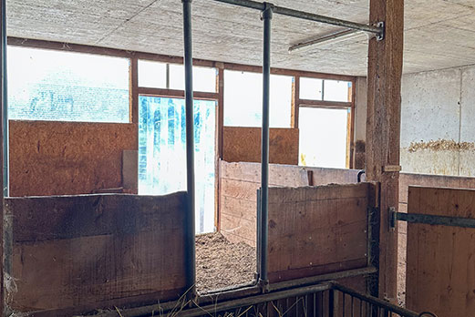 Reitgebiet und Weiden beim Stall Eichhof - Eindrücke 33