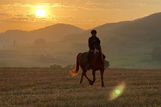 Reitgebiet und Weiden beim Stall Eichhof - Eindrücke 6